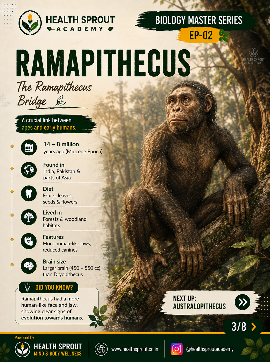 Ramapithecus — Health Sprout Academy Biology Master Series